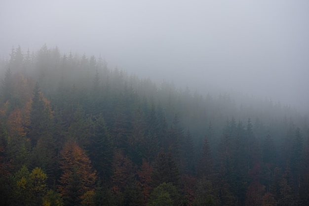 安福武功山10月17号至二十号天气预报